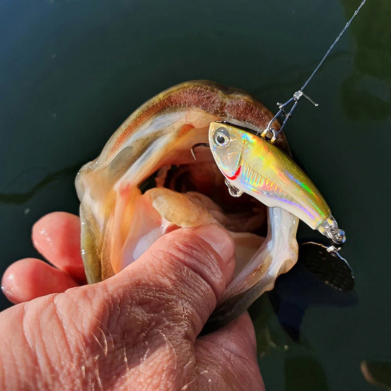 Savage Gear Fat Tail Spin 5.5cm/9g